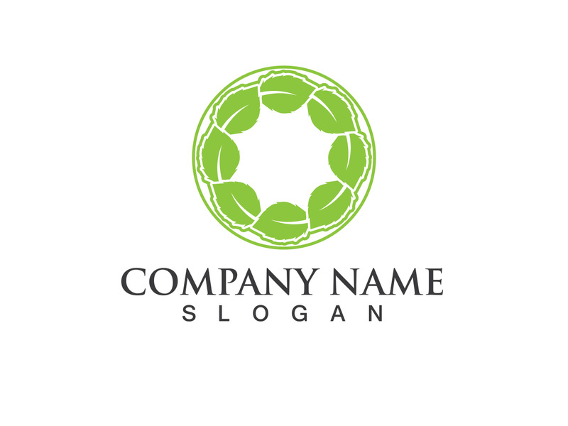 Green leaf logo Vector