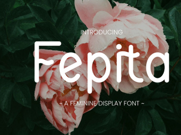 Fepita - Feminine Display Font preview picture
