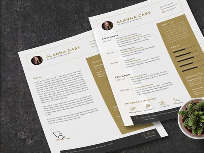 Clean CV Resume Template - Manager