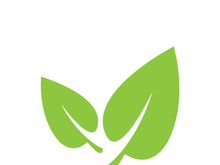 Leaf logo vector icon design template