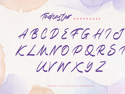 Tadcaster - Bold Script Font