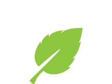 Leaf logo vector icon design template