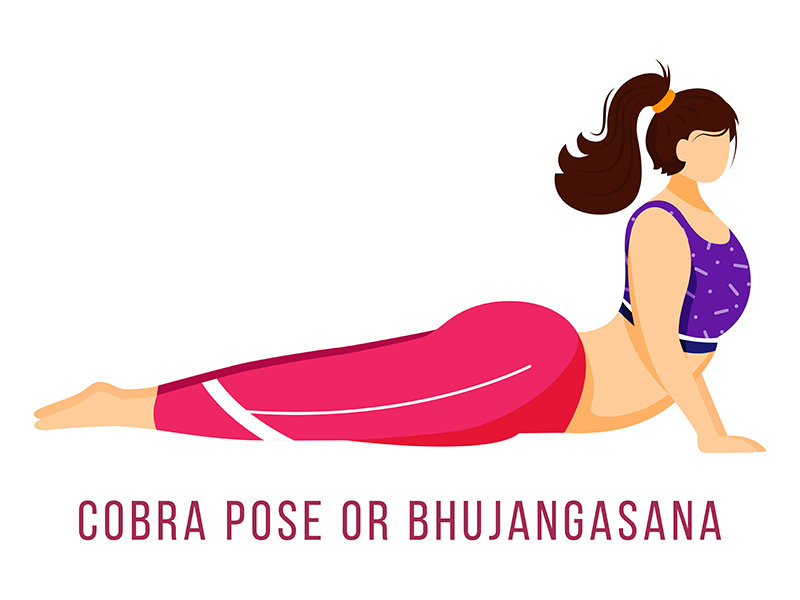 Cobra pose flat vector illustration