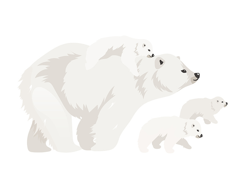 Polar bear family flat color vector illustration