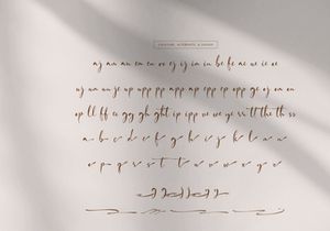 Fortune Messenger | Handwritten Script