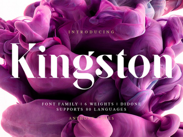 SF Kingston | Free Font preview picture