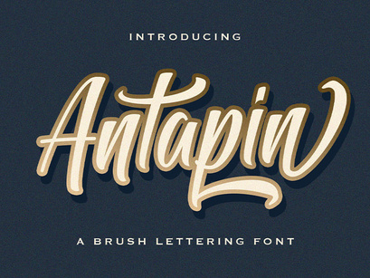 Antapin - Bold Script Font