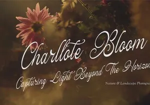 Hauliot Roisy | Handwritten Romantic Font
