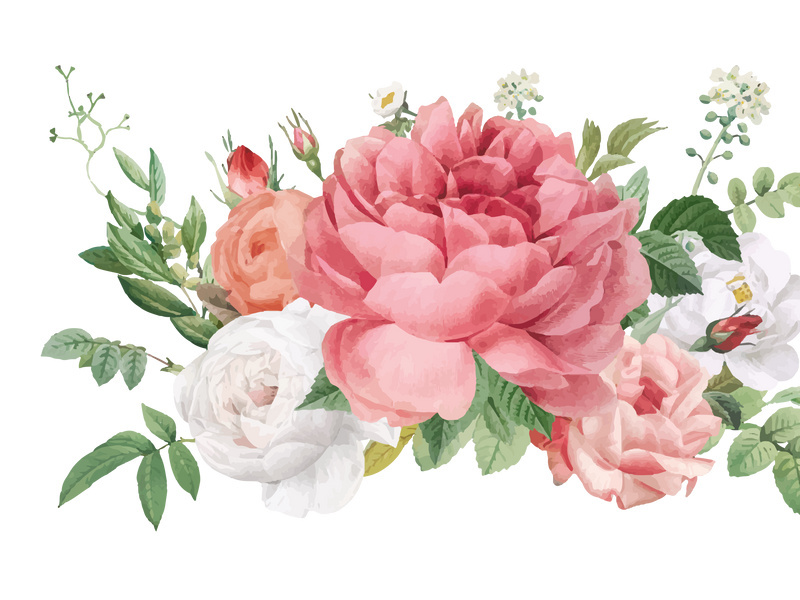 Vector Flower Watercolor Illustration