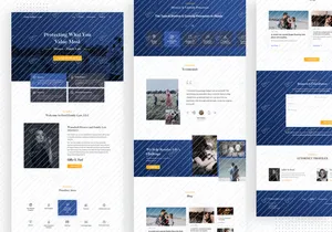 Ford Family Law - Lawyer Landing Page