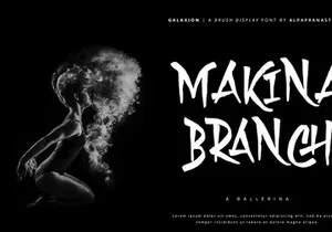Galaxion - Brush Font