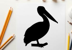 Silhouette of a pelican standing on a branch