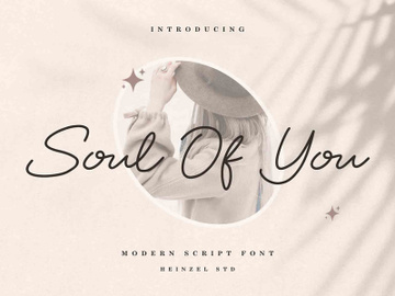 Soul Of You - Modern Script Font preview picture