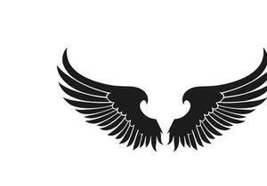 black bird wing logo vector