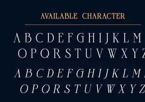 Goord - Modern Serif Family