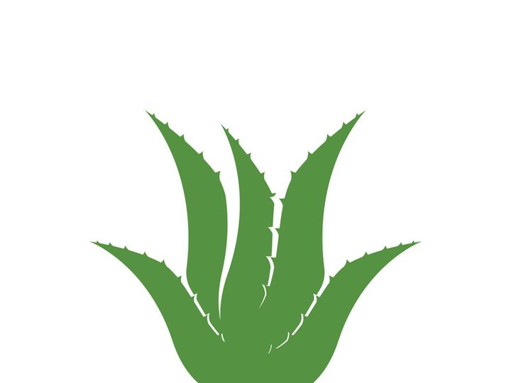 Aloe Vera logo icon design symbol beauty skin care