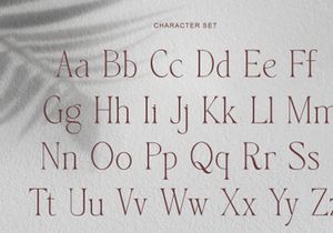 gartis typeface