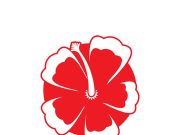 Flower vector icon design template illustration