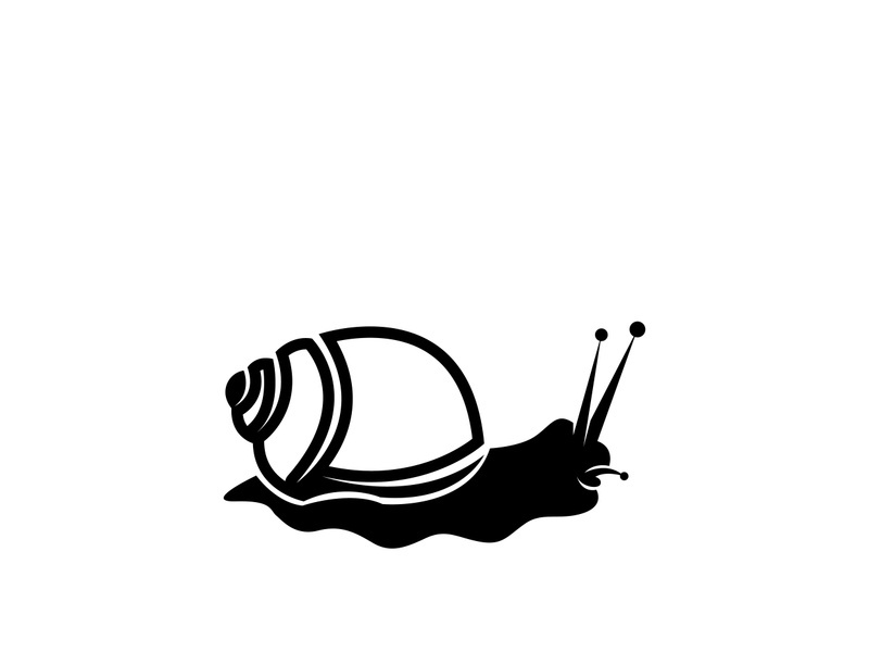 snail animal logo and symbol template