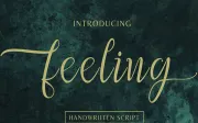 Feeling
