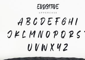 Evocative - Brush Font