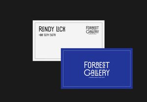 Forrest Gallery Modern Display Font