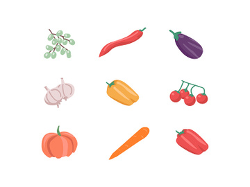 Vegetable flat color vector object set preview picture