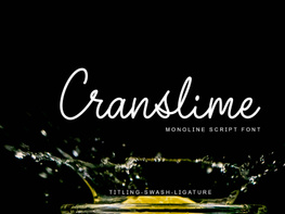 Cranslime - Script Font preview picture