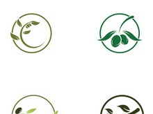 Olive fruit logo design.