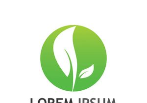 Natural green leaf logo design.