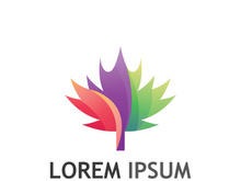 Maple leaf logo design with creative idea