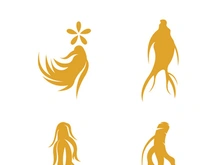 Ginseng logo design template and symbol icon vector illustration