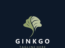 Ginkgo leaf biloba logo nature. Healthy ingredient that is used in medicine for disease treatment with line art style design