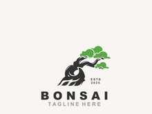 Bonsai Tree Logo Design template. vintage  illustration of aesthetic bonsai plants culture