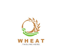 Wheat logo concept, agriculture nature wheat grain logo template