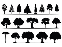 Trees Silhouettes Collection