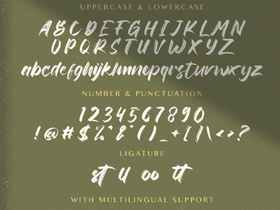 Rinjany - Textured Brush Font