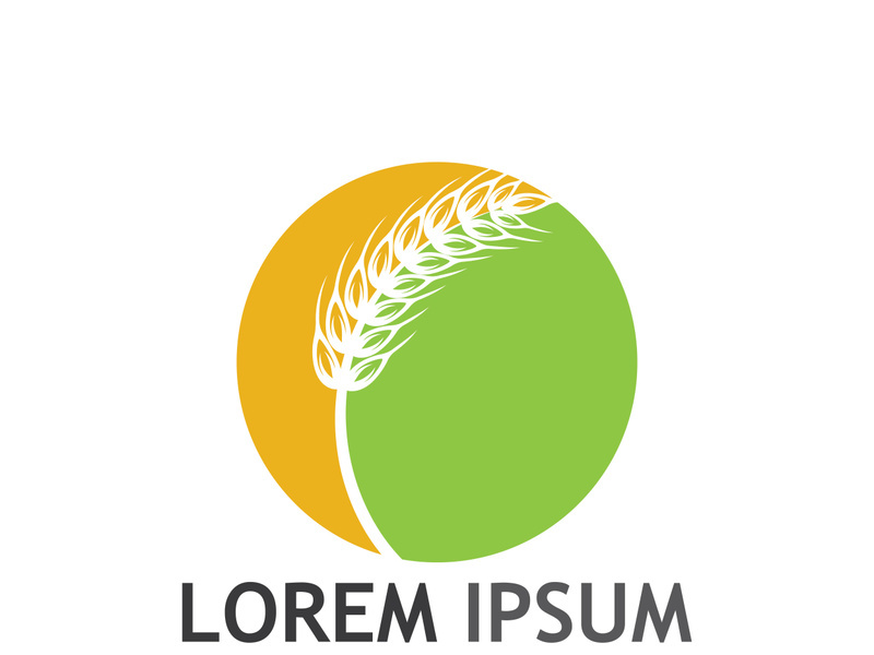 Organic wheat farm logo template.