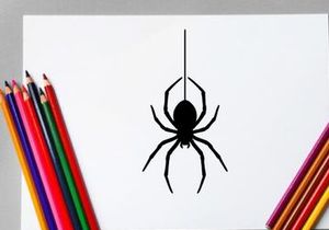 Black Widow Spider Hanging from Thread in Dark Setting
