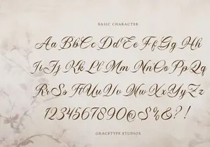 Royallique | Classic Calligraphy