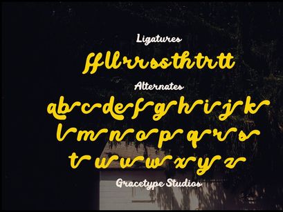 Mellow Script | Vintage Bold Script