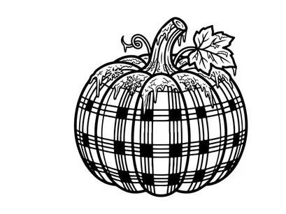 Plaid pumpkin line art illustration. Autumn harvest drawing with buffalo check pattern.