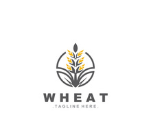 Wheat logo concept, agriculture nature wheat grain logo template
