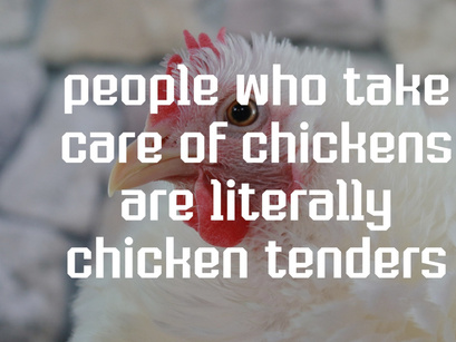 Chicken Stickers