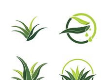 Aloe Vera logo icon design symbol beauty skin care