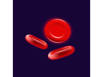 Blood cells realistic vector illustration preview picture