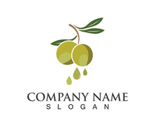 Extra virgin olive oil logo icon design vector illustration