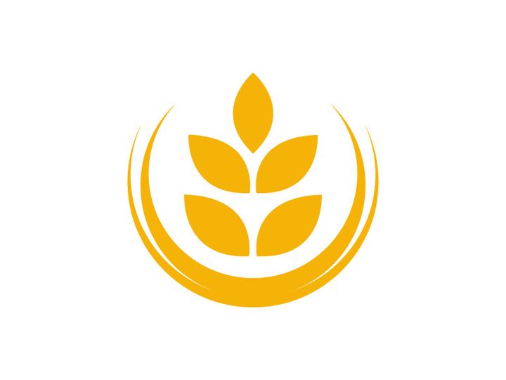 Agriculture wheat rice icon illustration