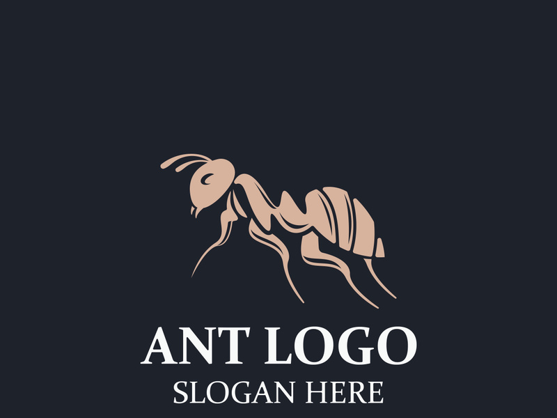 Ant logo design silhouette. Isolated animal ants on background design template vector Ant logo design silhouette. Isolated animal ants on background design template vector