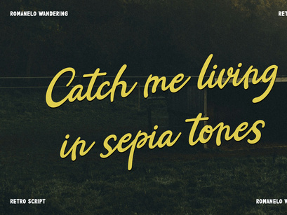 Romanelo Wandering | Retro Script Font
